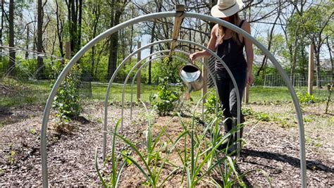 naked gardener video|Why I Garden This Way Every Day .